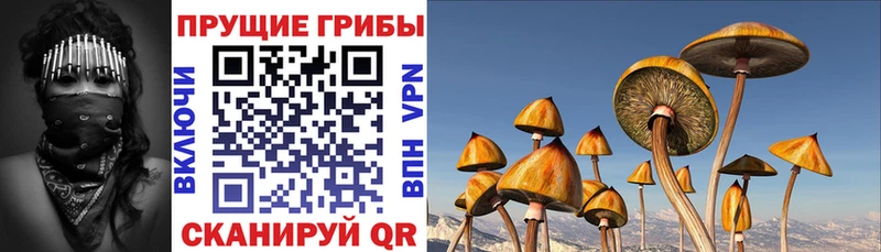 блэк спрут ONION  Фролово  Галлюциногенные грибы Psilocybine cubensis  магазин продажи наркотиков 