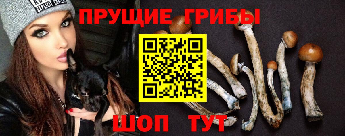 Галлюциногенные грибы MAGIC MUSHROOMS Фролово